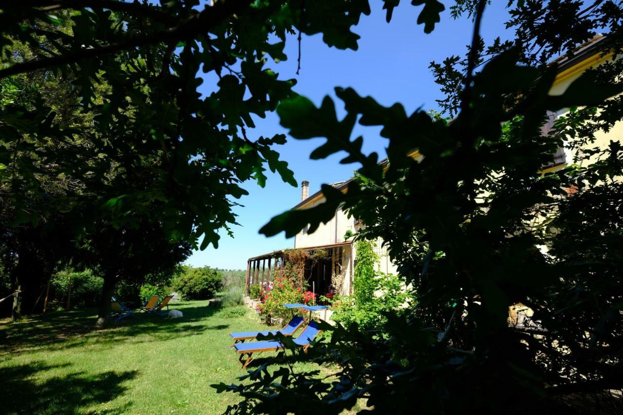 Casa Monteluro - B&B Tavullia Exteriér fotografie